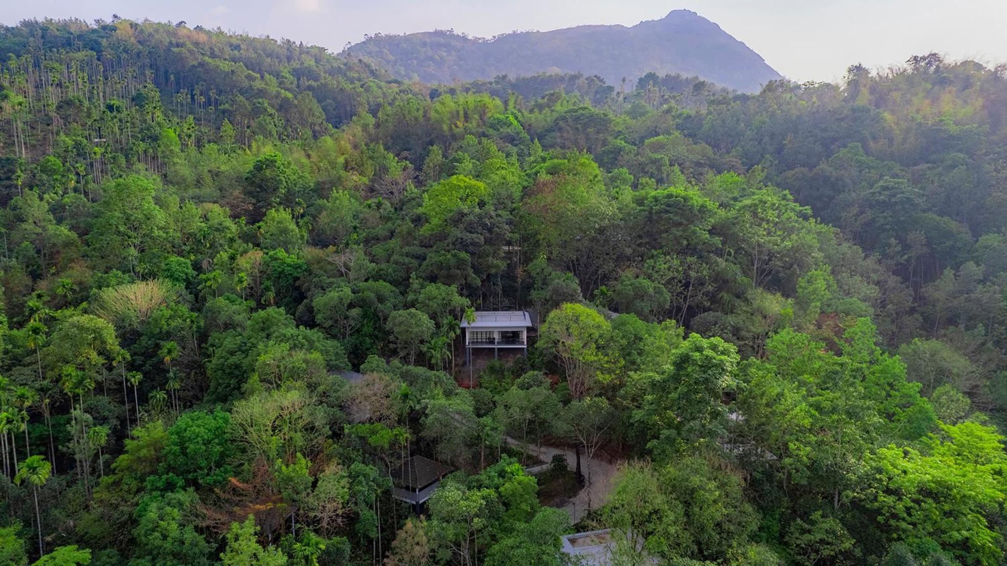 The Hive, Wayanad Hotell Exteriör bild
