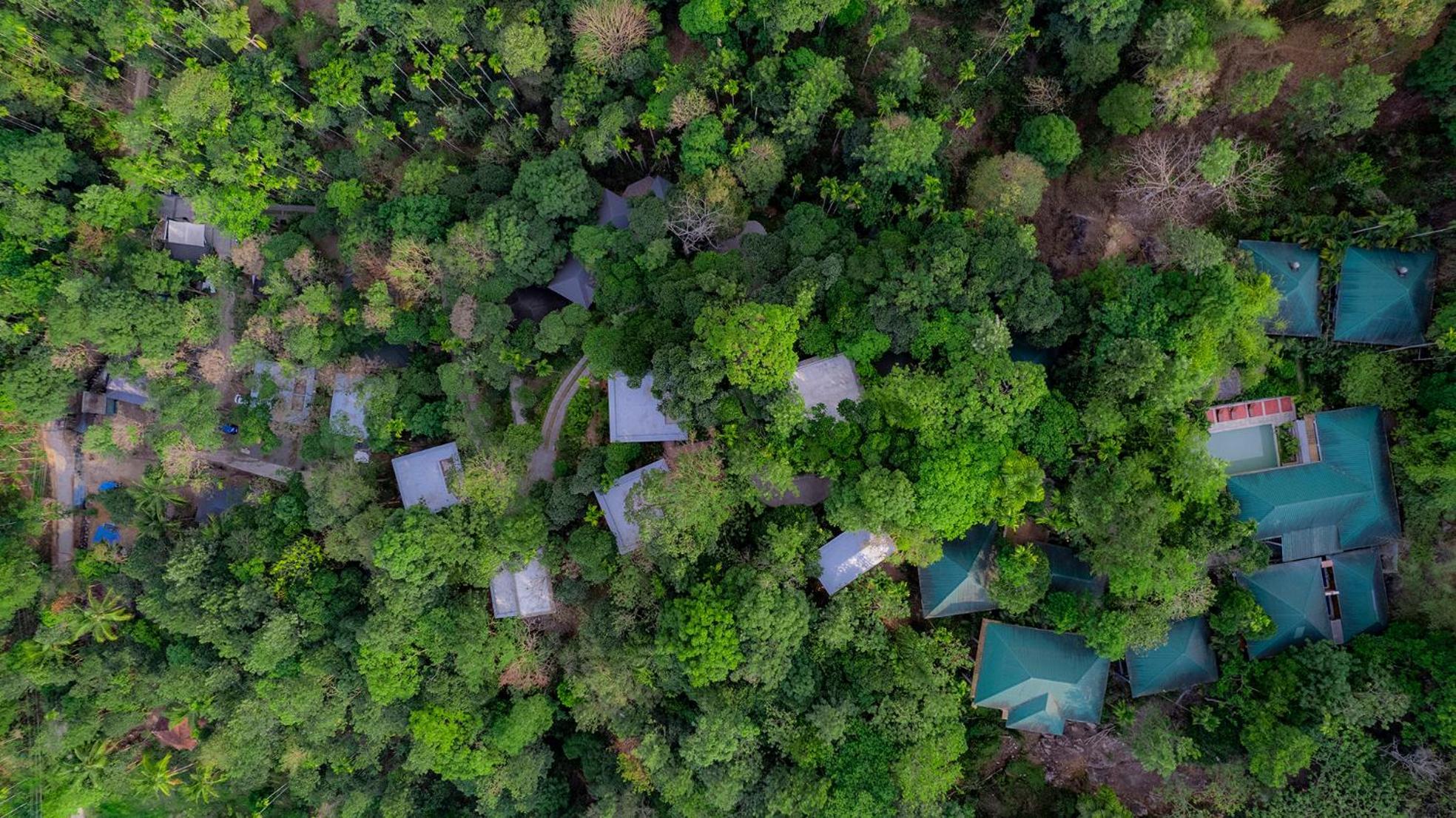 The Hive, Wayanad Hotell Exteriör bild