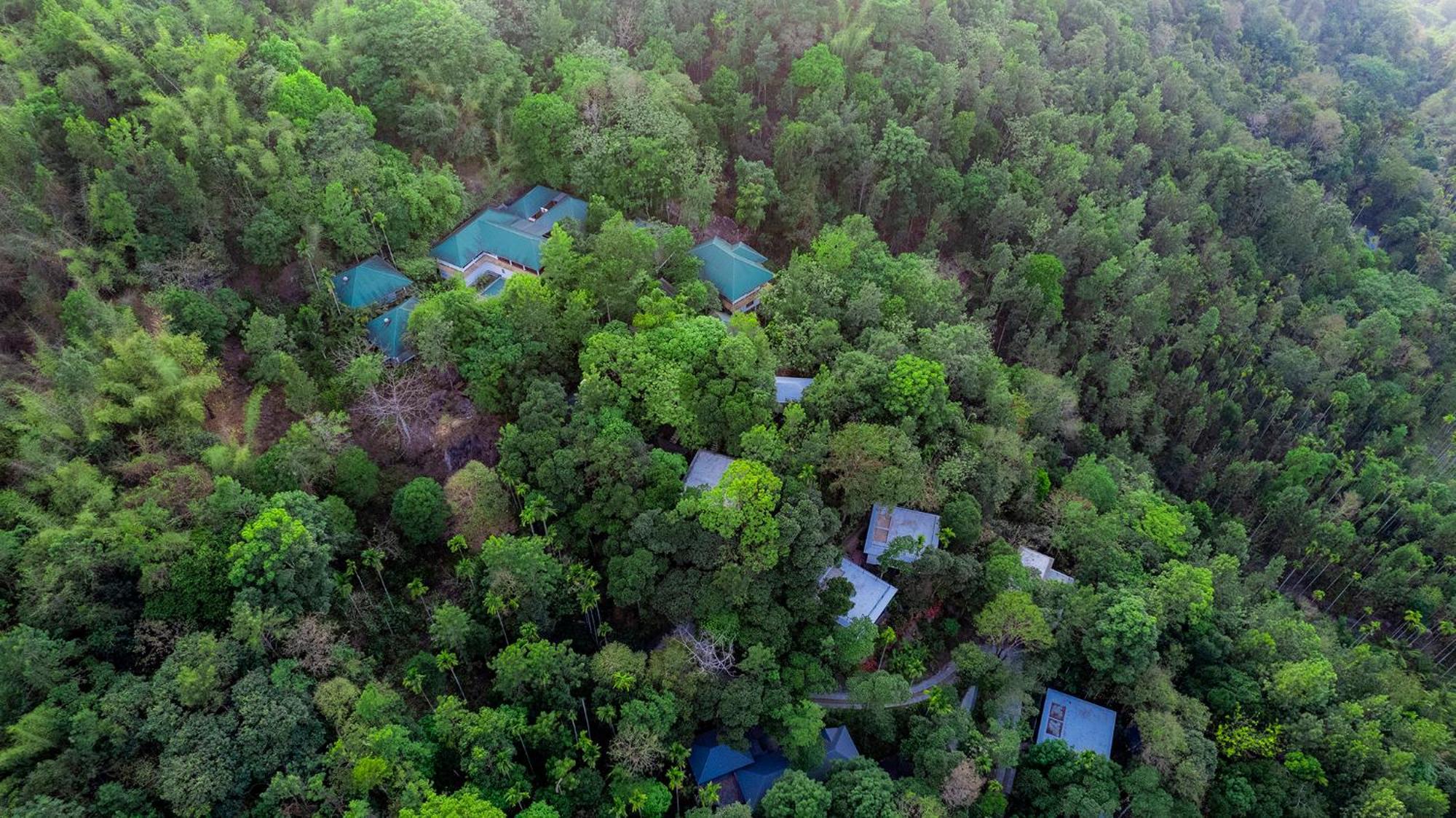 The Hive, Wayanad Hotell Exteriör bild