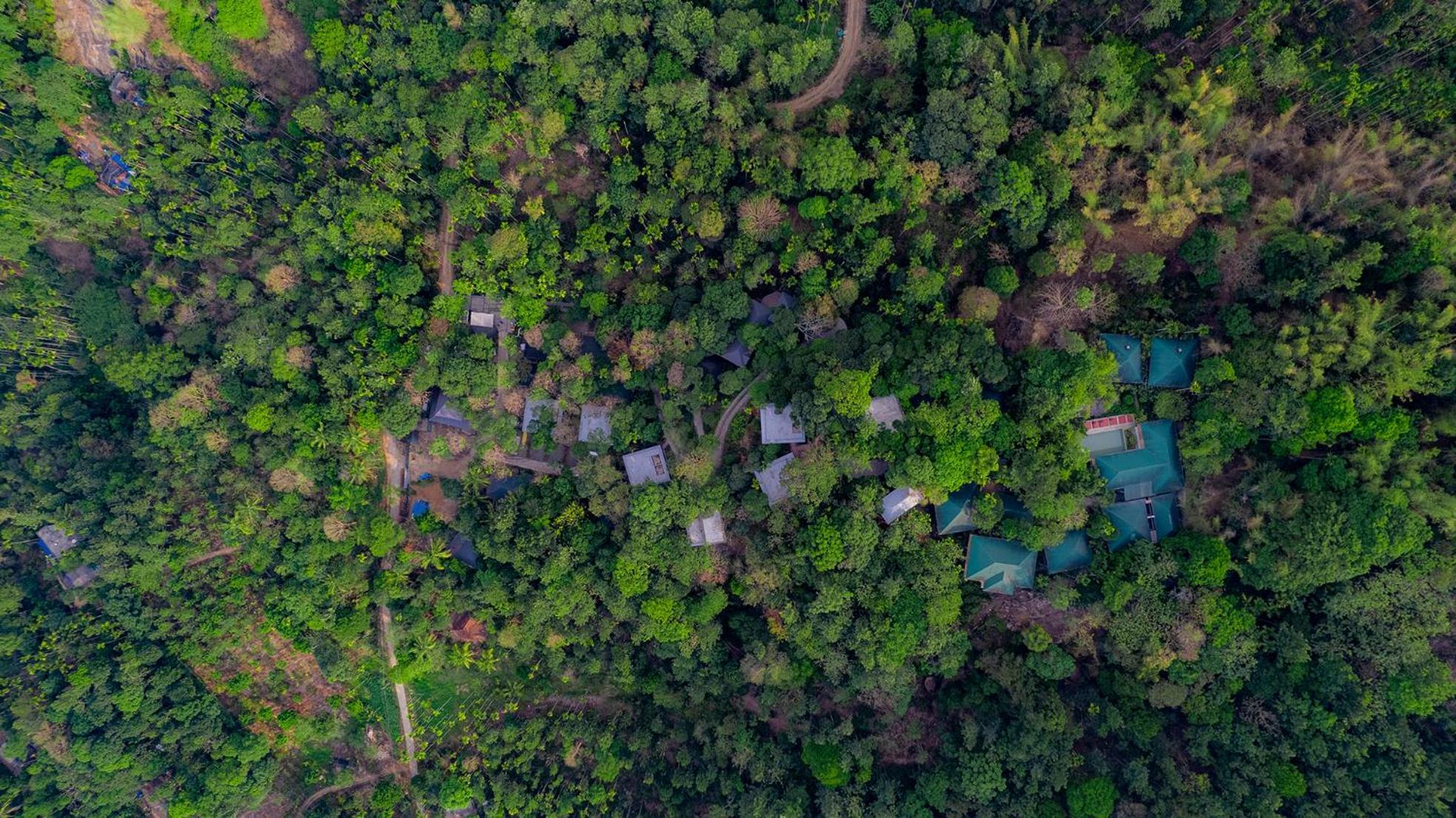 The Hive, Wayanad Hotell Exteriör bild