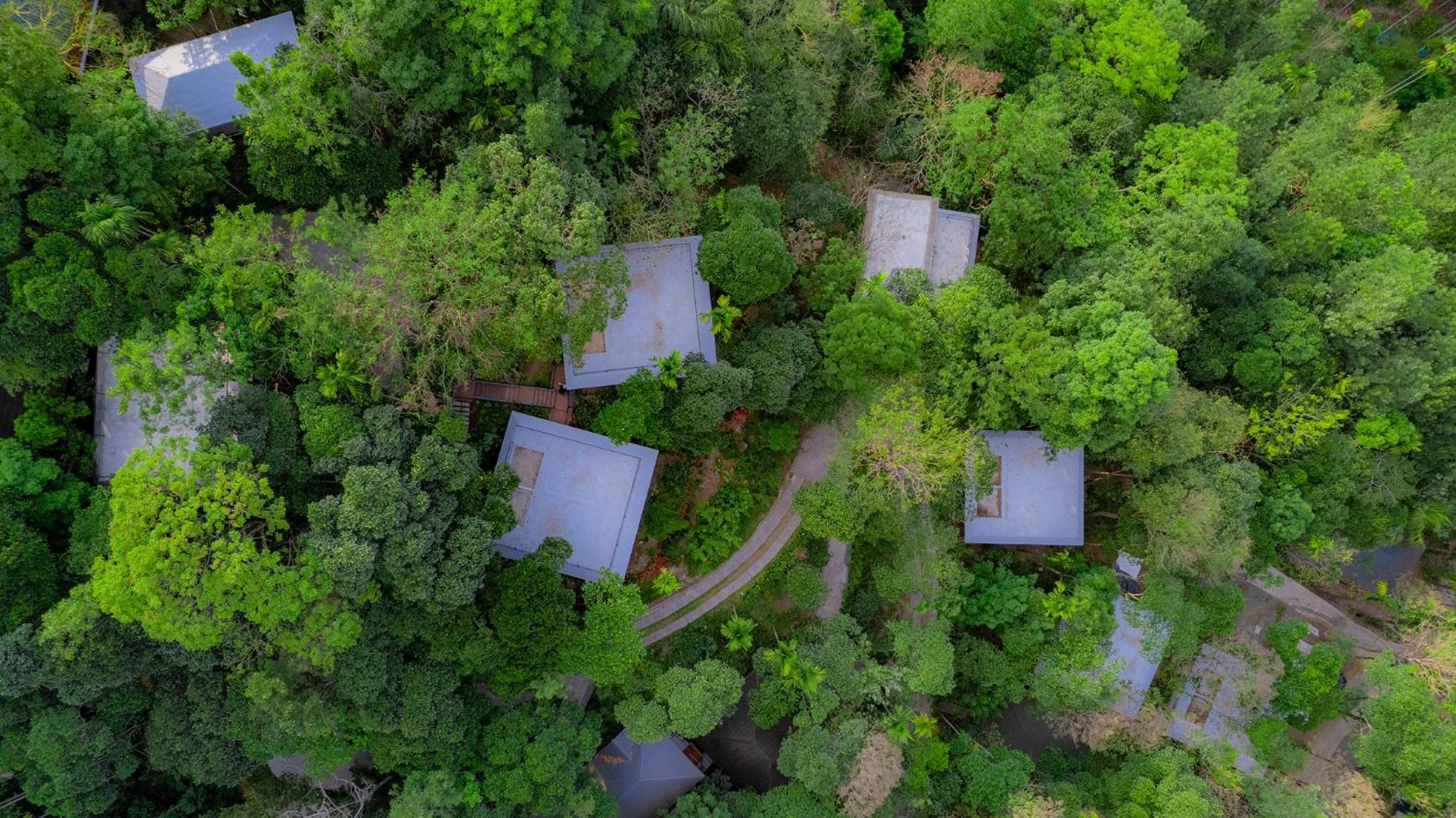 The Hive, Wayanad Hotell Exteriör bild