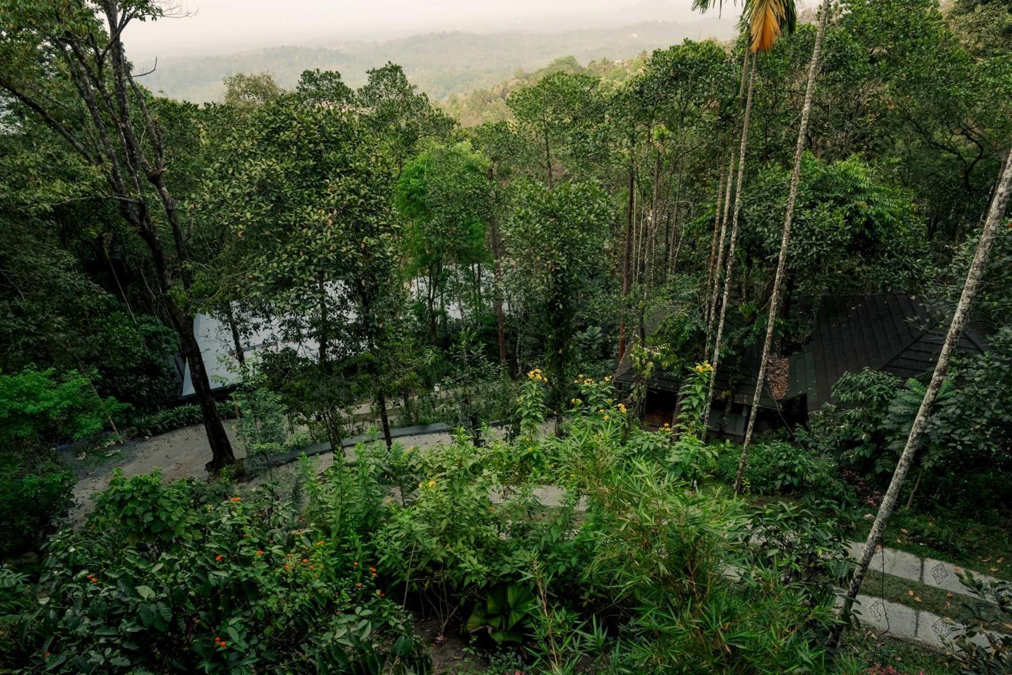 The Hive, Wayanad Hotell Exteriör bild
