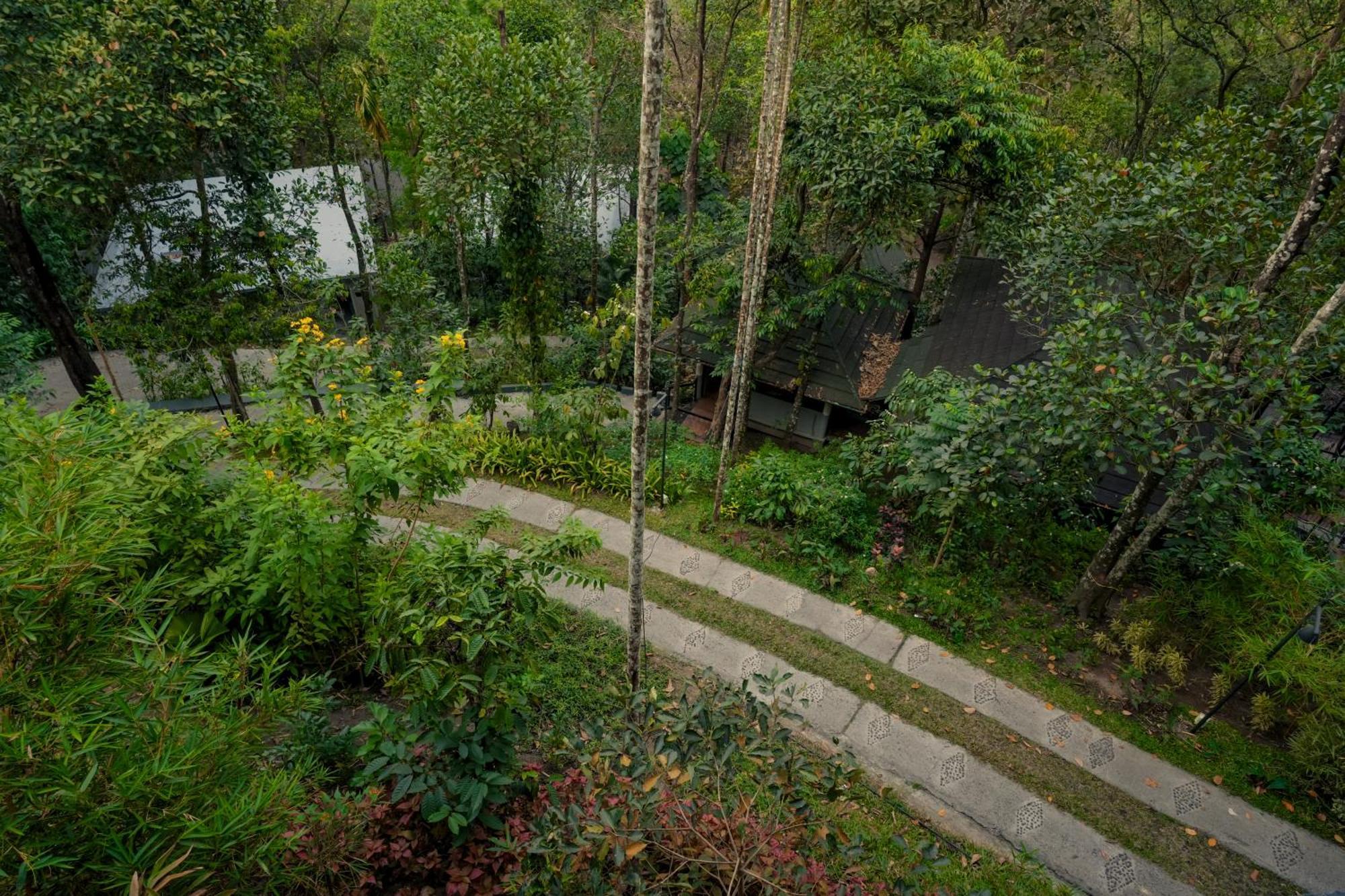 The Hive, Wayanad Hotell Exteriör bild