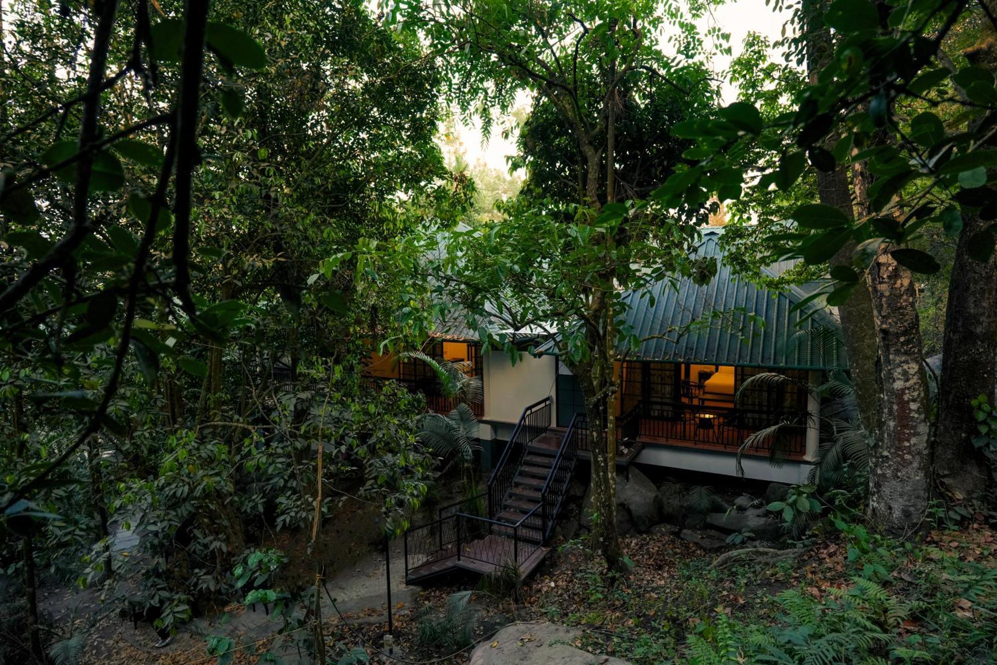 The Hive, Wayanad Hotell Exteriör bild