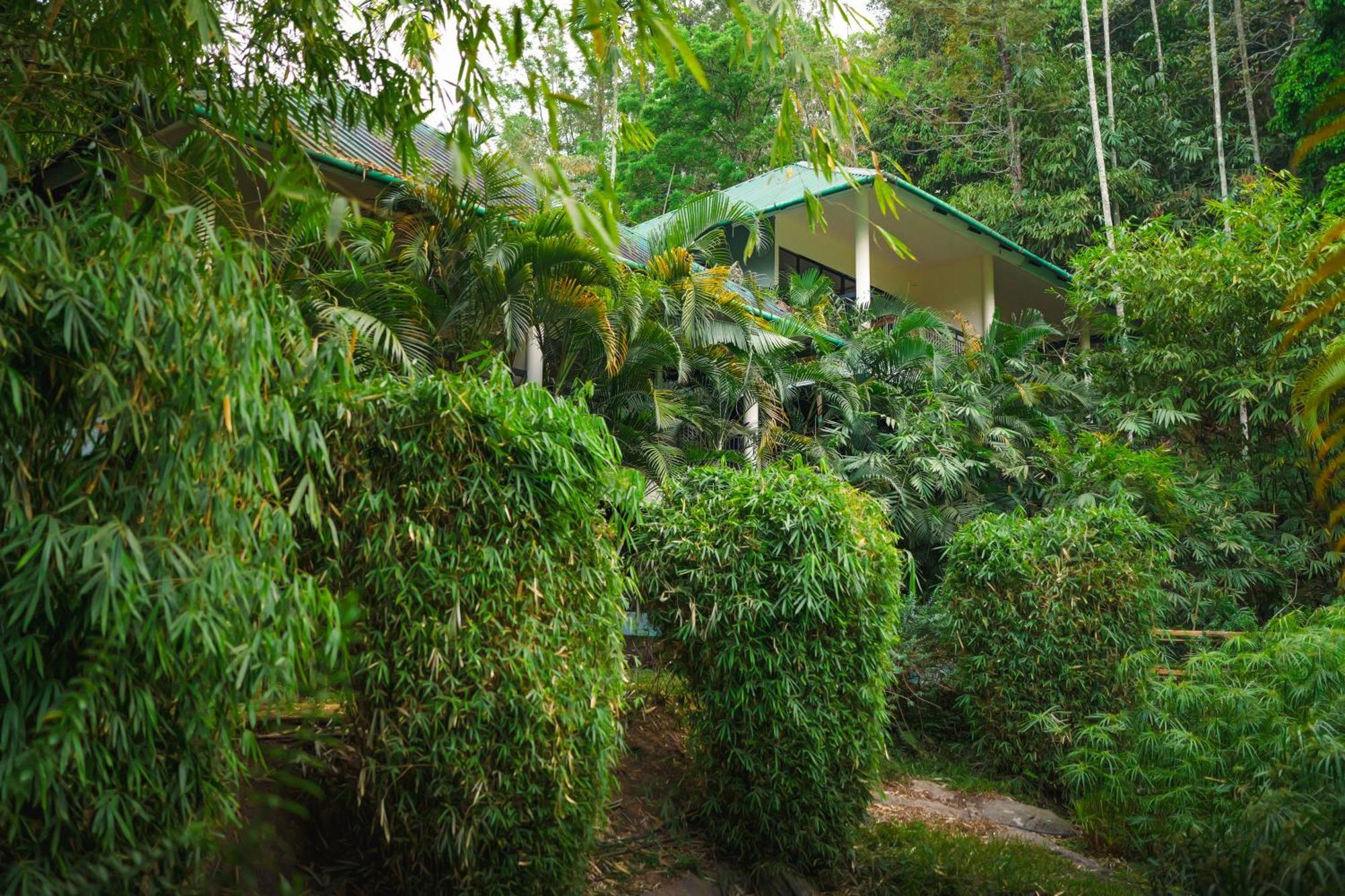 The Hive, Wayanad Hotell Exteriör bild